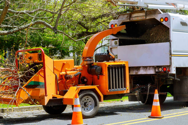 Marina, CA Tree Care  Company